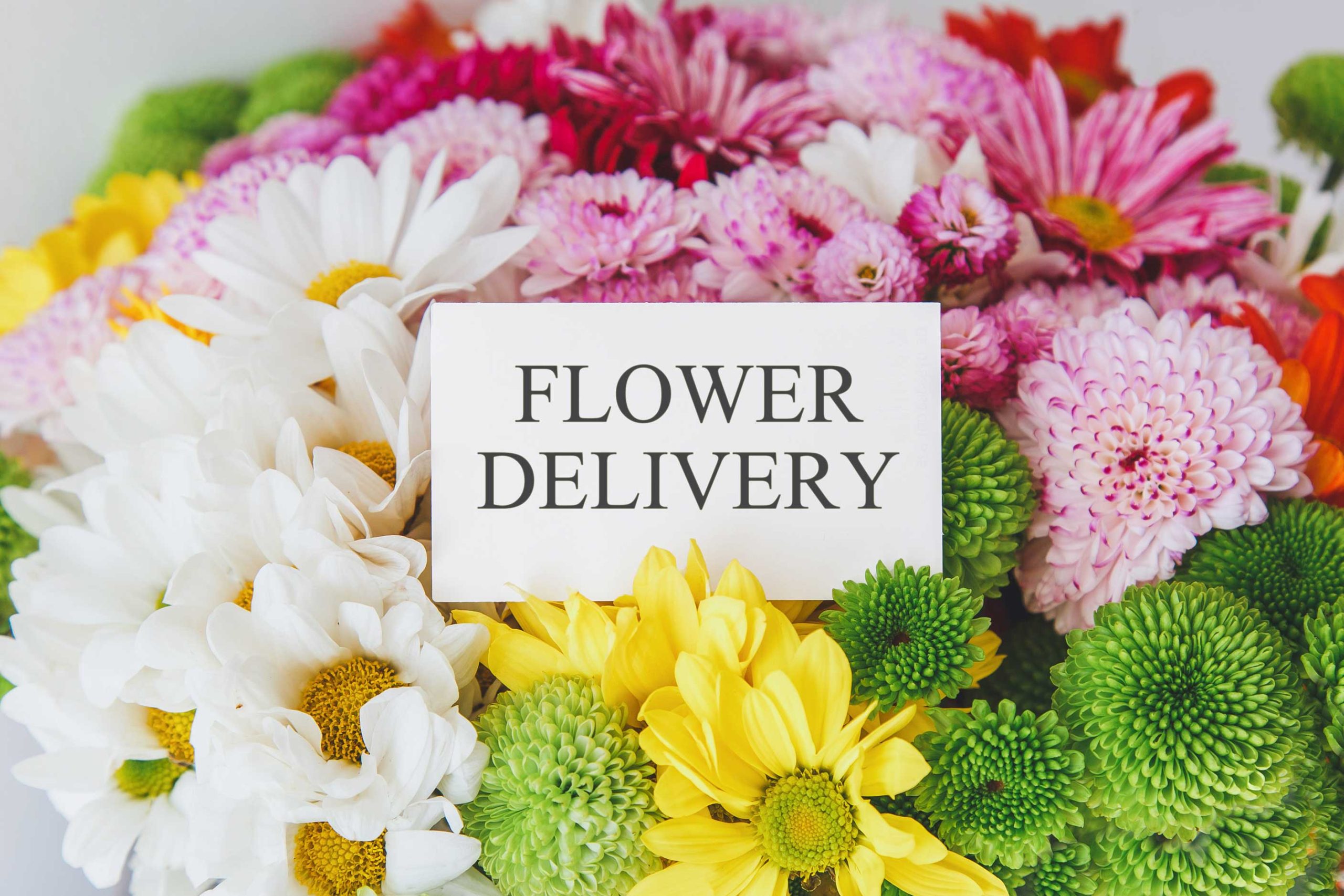 same-day-flower-delivery- Hilton Head Island